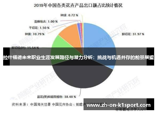 拉什福德未来职业生涯发展路径与潜力分析：挑战与机遇并存的前景展望