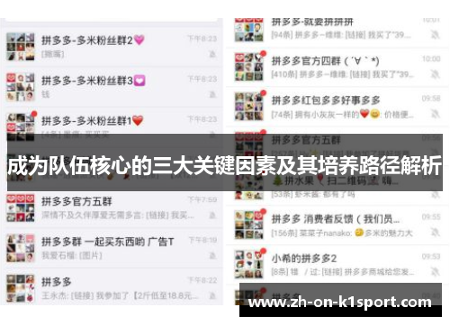 成为队伍核心的三大关键因素及其培养路径解析