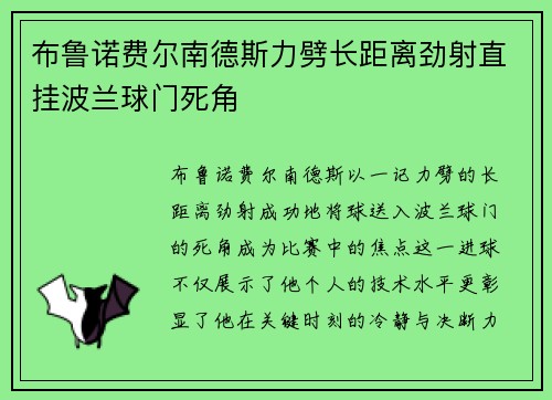 布鲁诺费尔南德斯力劈长距离劲射直挂波兰球门死角